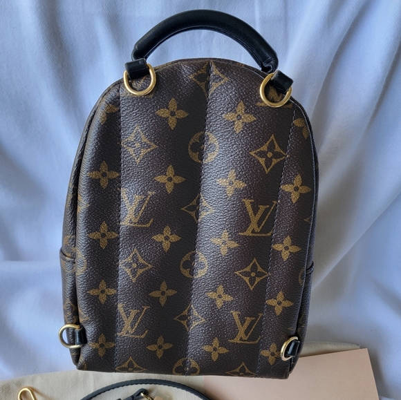 Louis Vuitton Palm Spring Mini Backpack - Picture 2 of 16